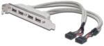 ASSMANN USB 2.0 4x USB A 2x IDC 10 tűs csatlakozókonzol kábel (AK-300304-002-E) - bestbyte