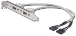 ASSMANN USB 2.0 2x USB A 2x IDC 5 tűs csatlakozókonzol kábel (AK-300301-002-E) - bestbyte