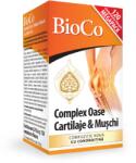 BioCo Complex Oase Cartilaje Mușchi cu condroitina, 120 comprimate, BioCo