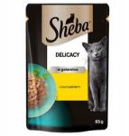 Sheba Delicacy tasak 85 g nedves teljes értékű eledel felnőtt macskáknak csirkedarabok zselében