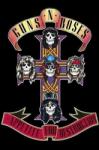 Guns N' Roses - Appetite For Destruction (Reissue) (Remastered) (CD) (0602567565673)