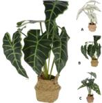  ИЗКУСТВЕНО ЦВЕТЕ alocasia В КОШНИЦА 317221270 51см (317221270)