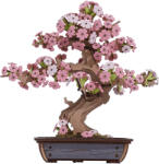 Rolife Puzzle 3D, din lemn, Bonsai Sakura, 263 piese (TG415)