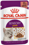 Royal Canin Feline Health Nutrition Sensory Taste Jelly macska tasak 12x85g