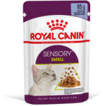 Royal Canin Sensory Smell macska tasak zselés 12x85g