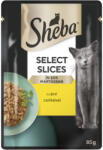 Sheba macska tasak csirke 28x85g