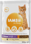 Iams Vitality száraz macskaeledel kitten csirke 800g
