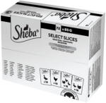 Sheba macska tasak MP baromfi 72x85g