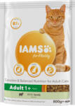 Iams Vitality száraz macskaeledel adult bárány 800g