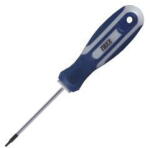 Raxx Csavarhúzó T10 Torx 3x80 mm 1247371 (1247371)