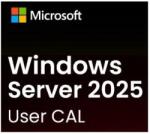 Microsoft Windows Server 2025 - 1 User CAL (DG7GMGF0PWHC1)