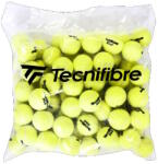 Tecnifibre XLD (72 Pack) Teniszlabdák
