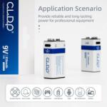 CLDP Set 2 acumulatori 9V 350mAh USc cablu inclus CLDP (cldp9v-li) Baterie reincarcabila