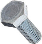  Hatlapfejű metrikus csavar M6x100mm (54655)