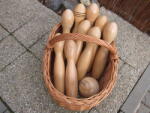 STOA Popice (35 cm)