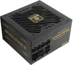 Enermax Revolution 3 850W 80 PLUS Gold