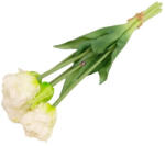 D&D Selyemvirág papagáj Tulipán csokor 5 szálas 47 cm (DD67086)