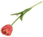 D&D Selyemvirág Tulipán cirmos 41 cm (DD67106)