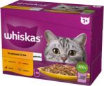 Whiskas Adult tasak 12x85g Poultry Feast nedves eledel felnőtt macskáknak zselében: csirke, kacsa, baromfi, pulyka