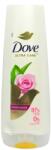 Dove балсам за коса, 350мл, Aloe & Rose water