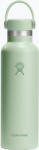 Hydro Flask Standard Flex 620 ml-es aloe termál palack