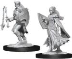 WizKids Model Dungeons & Dragons Nolzur's Marvelous Unpainted Miniatures - Kalashtar Cleric Female (90233WK) Figurina