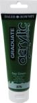 Daler-Rowney Graduate Akril festék Sap Green 120 ml 1 db (123120375)