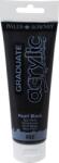 Daler-Rowney Graduate Akril festék Pearl Black 120 ml 1 db (123120032)