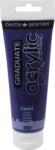 Daler-Rowney Graduate Akril festék Violet 120 ml 1 db (123120450)