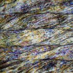 malabrigo Arroyo Norte Kötőfonal (AR165-MALABRIGO)