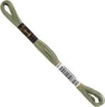 Anchor Stranded Cotton 00859 8 m Hímzőfonal (4635000-00859)