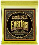 Ernie Ball 2556 Everlast Corzi chitare acustice (P02556)