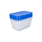 RFL Houseware Set 10 cutii alimente, dreptunghiulare, 1 litru, Reusable (R3-91341)