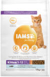 Iams Kitten Ocean Fish száraz macskaeledel 10 kg (1753-127737)