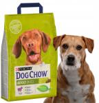 Dog Chow Purina Dog Chow Felnőtt bárány száraz kutyaeledel Eledel