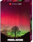 Heye 1000 db-os puzzle - Power of Nature - Sycamore Gap (30065) (30065)