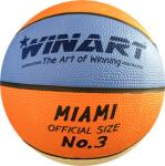 Winart Minge de baschet mini, mărimea 3 WINART MIAMI (0628)