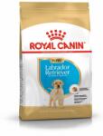 Royal Canin Shn Breed Labrador Junior 12KG Eledel