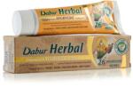 Dabur Herbal Fogkrém, 26 ayurvédikus gyógynövény, 100g (2306)