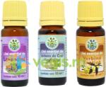 Herbavit Pachet Uleiuri Esentiale de Aromoterapie: Ulei de Lavandina (Lavanda) 10ml + Ulei de Tea Tree (Arbore de Ceai) 10ml + Ulei de Verbina Exotica 10ml