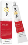 Yellow Color Hajfesték | Árnyalatok: 8.41 | Kiszerelés: 100 ml (YE025613)