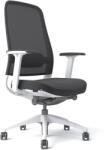 StableDesk Scaun reglabil Ergonomic StableDesk FREESTYLE, Armrest 4D, Reglare tetiera, suport lombar, inaltime, blocare inclinare in 5 pozitii, Negru / Alb (SD-134-NEAL)