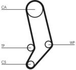 Continental Ctam Set pompa apa + curea dintata CONTINENTAL CTAM CT939WP4 (CT939WP4) - automobilus