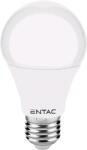 Entac LED gömb izzó 10W E27 WW 3000K (LLG27-10W-WW) (LLG27-10W-WW)