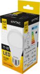 Entac LED gömb izzó 8W E27 WW 3000K (LLG27-8W-WW) (LLG27-8W-WW)