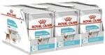 Royal Canin Royal Canin Urinary Care Dog Loaf 36 x 85 g