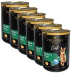 Prospera Plus Prospera Plus Adult 1+ Salmon 6 x 395 g