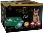 Prospera Plus Prospera Plus Adult 1+ pliculeț 24 x 85 g