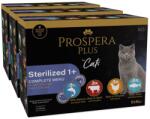 Prospera Plus Prospera Plus Sterilized 1+ pliculeț 36 x 85 g