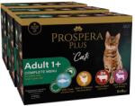 Prospera Plus Prospera Plus Adult 1+ pliculeț 36 x 85 g
